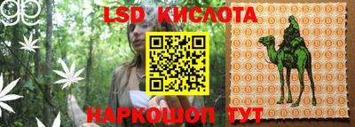 прущие грибы Нальчик