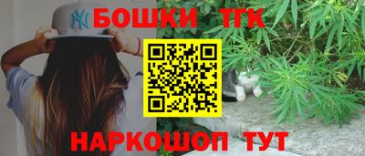 прущие грибы Нальчик
