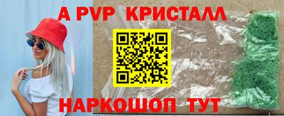 прущие грибы Нальчик