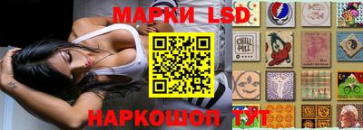 прущие грибы Нальчик