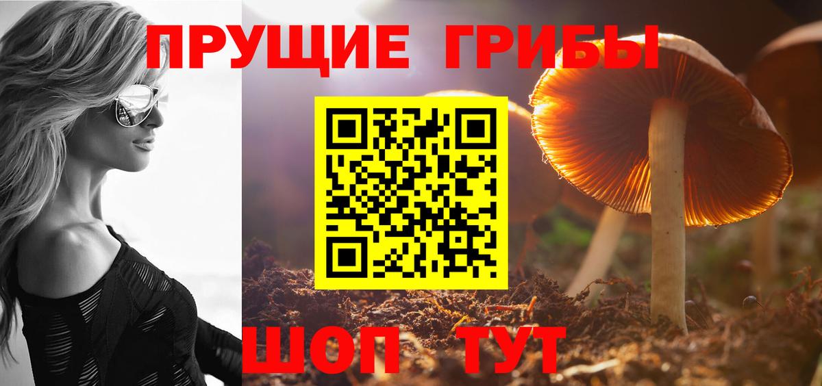 Галлюциногенные грибы MAGIC MUSHROOMS Тобольск