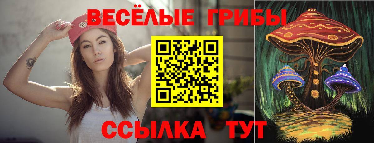 Псилоцибиновые грибы MAGIC MUSHROOMS  Вход с VPN  Тобольск 